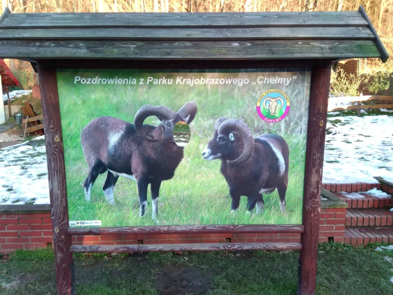 Montaż fototablicy turystycznej na zewnątrz – trwały druk UV odporny na warunki pogodowe