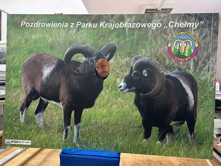 Tablica z muflonami i napisem Pozdrowienia z Parku Krajobrazowego Chełmy, tablice i szyldy reklamowe