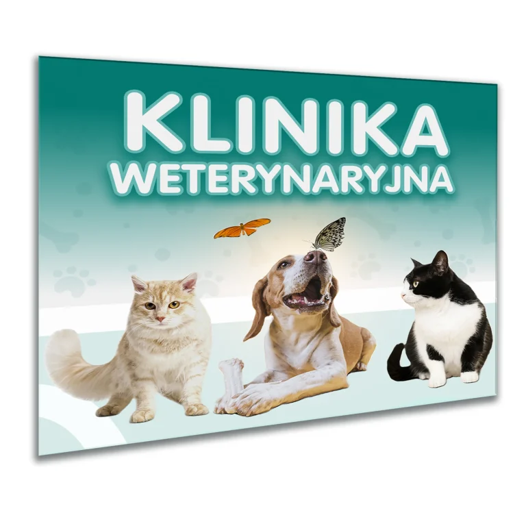szyld weterynarz pies kot klinika reklama zwierzęta